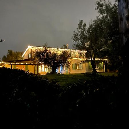Bed and Breakfast Gli Olivi Formello Zewnętrze zdjęcie
