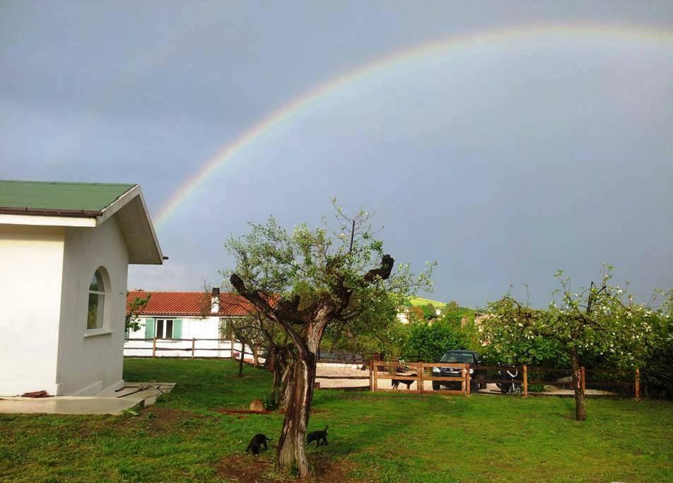 Bed and Breakfast Gli Olivi Formello Zewnętrze zdjęcie