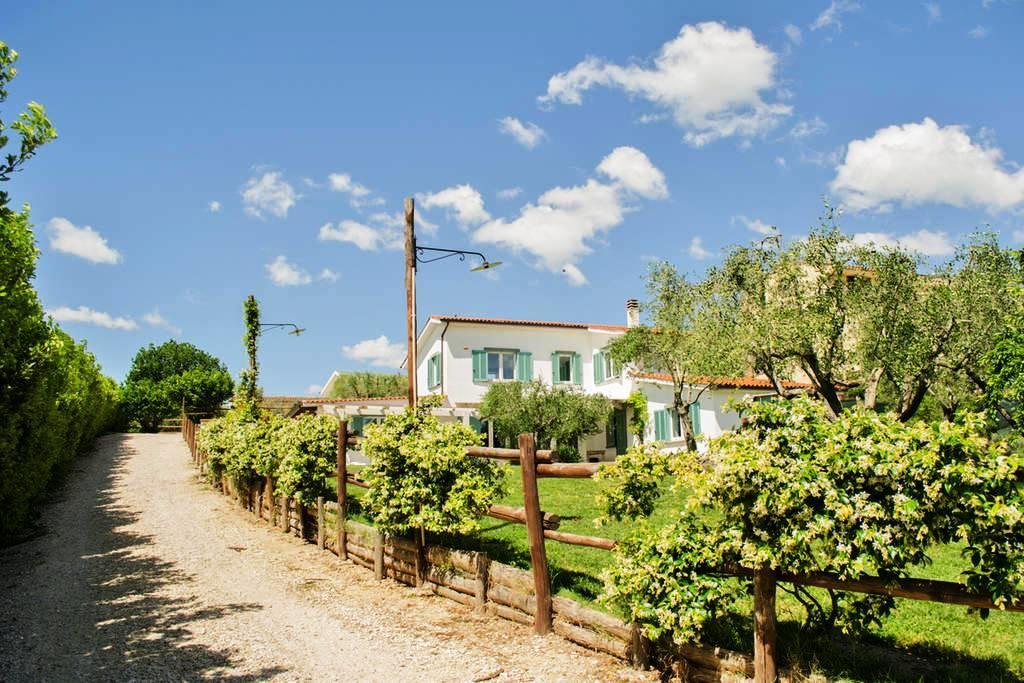 Bed and Breakfast Gli Olivi Formello Zewnętrze zdjęcie